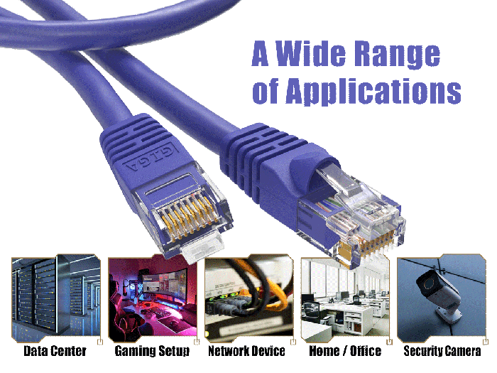 50ft Cat6 UTP Ethernet Network Patch Cable Snagless 24AWG Bare Cooper, Purple