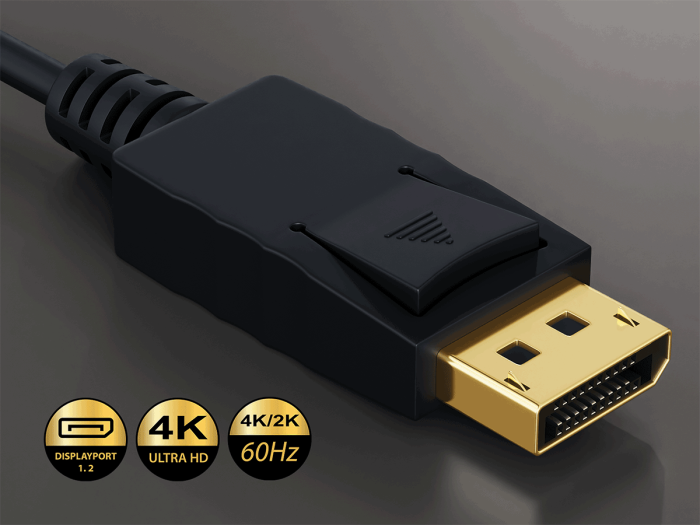 10ft Gold Plated Premium DisplayPort to DVI Cable