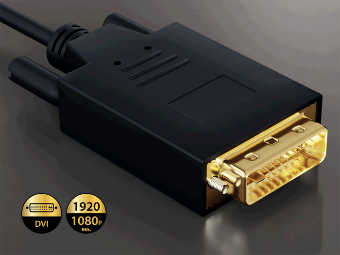 10ft Gold Plated Premium DisplayPort to DVI Cable