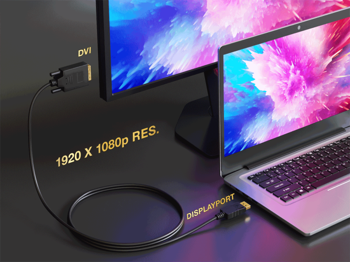 10ft Gold Plated Premium DisplayPort to DV Male to Male Cable 28AWG laptop to monitor