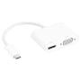 USB 3.1 Type C Male to HDMI (4K@30Hz) Female + VGA Female Adapter thumbnail