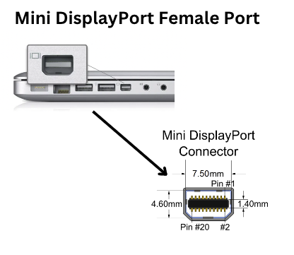 Mini DisplayPort Female Port